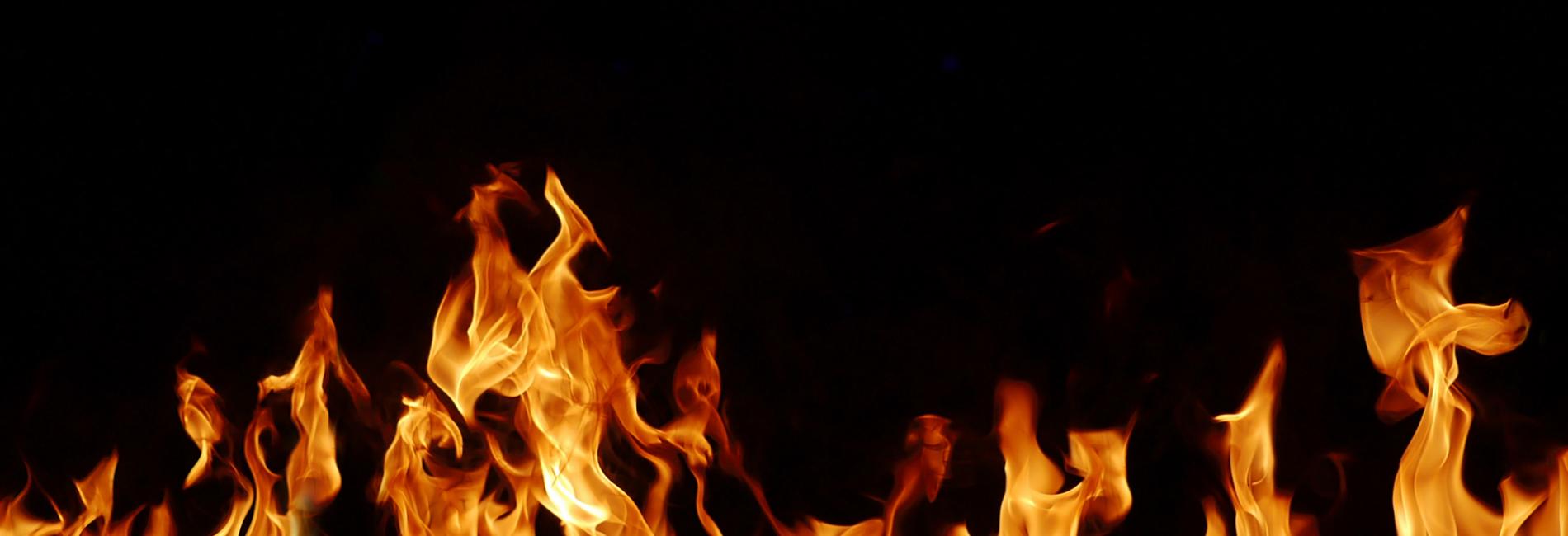 nghề hot hot jobs